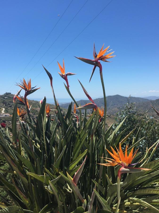 Bed & Breakfast Casa-b Bed & Breakfast, Adults Recommended