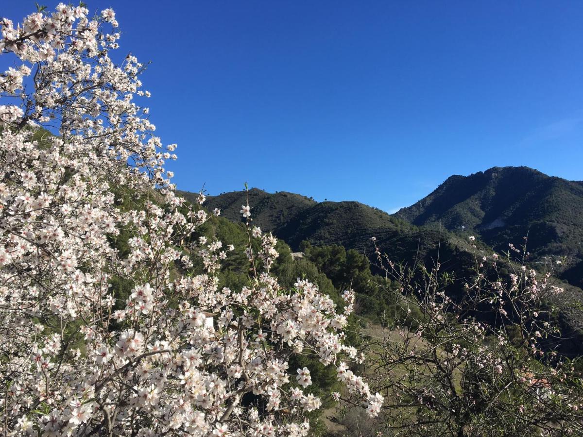 Casa-b Bed & Breakfast, Adults Recommended Bed & Breakfast Competa